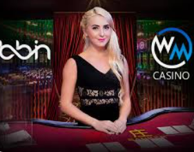 333体育官网下载2024最新版