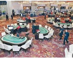 333体育官网下载2024最新版