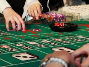 333体育官网下载手机版